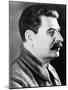 Joseph Stalin, Premier of Soviet Union-Science Source-Mounted Giclee Print