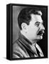 Joseph Stalin, Premier of Soviet Union-Science Source-Framed Stretched Canvas