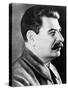 Joseph Stalin, Premier of Soviet Union-Science Source-Stretched Canvas