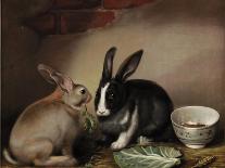 Rabbits-Joseph Thomas Wilson-Stretched Canvas