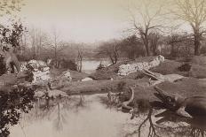 Crystal Palace : Montis Fountain and nave looking South (fontaine Montis et nef vue du sud)-Joseph Warren Zambra-Framed Stretched Canvas