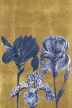 Iris Shimmering-Joseph Weinmann-Art Print