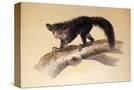 Stretched Canvas