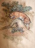 Norwegian Lynx, 1851-69-Joseph Wolf-Giclee Print