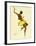 Josephine Baker, Black Thunder-null-Framed Giclee Print