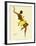 Josephine Baker, Black Thunder-null-Framed Giclee Print