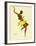 Josephine Baker, Black Thunder-null-Framed Giclee Print