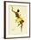 Josephine Baker, Black Thunder-null-Framed Giclee Print