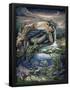 Essential Black
