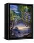 Canvas Black