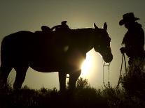 Cowboy With His Horse at Sunset, Ponderosa Ranch, Oregon, USA-Josh Anon-Photographic Print
