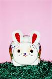 Easter Bunny-Josh Westrich-Photographic Print