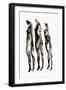 Black Frame