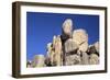 Joshua Rocks-Janice Sullivan-Framed Giclee Print