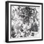 Black Frame