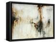 Framed Canvas