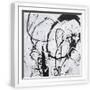 White Frame
