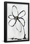 Essential Black