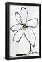 Essential Black
