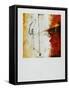 Framed Canvas