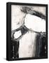 Essential Black