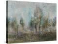 Stretched Canvas