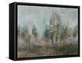 Framed Canvas