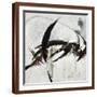 Brown Frame