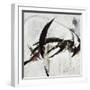 White Frame