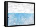 Framed Canvas