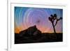 joshua-tree-1-Lincoln Harrison-Framed Photo