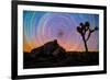 joshua-tree-1-Lincoln Harrison-Framed Photo