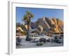 Joshua Tree and Boulder Formation, Joshua Tree NP, California, USA-Jaynes Gallery-Framed Photographic Print