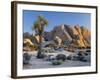 Joshua Tree and Boulder Formation, Joshua Tree NP, California, USA-Jaynes Gallery-Framed Photographic Print