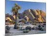 Joshua Tree and Boulder Formation, Joshua Tree NP, California, USA-Jaynes Gallery-Mounted Photographic Print