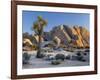 Joshua Tree and Boulder Formation, Joshua Tree NP, California, USA-Jaynes Gallery-Framed Photographic Print