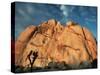 Joshua Tree and Cliffs-Kevin Schafer-Stretched Canvas