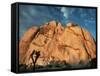 Joshua Tree and Cliffs-Kevin Schafer-Framed Stretched Canvas