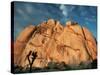 Joshua Tree and Cliffs-Kevin Schafer-Stretched Canvas