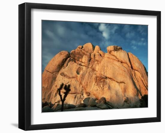 Joshua Tree and Cliffs-Kevin Schafer-Framed Premium Photographic Print