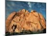 Joshua Tree and Cliffs-Kevin Schafer-Mounted Premium Photographic Print