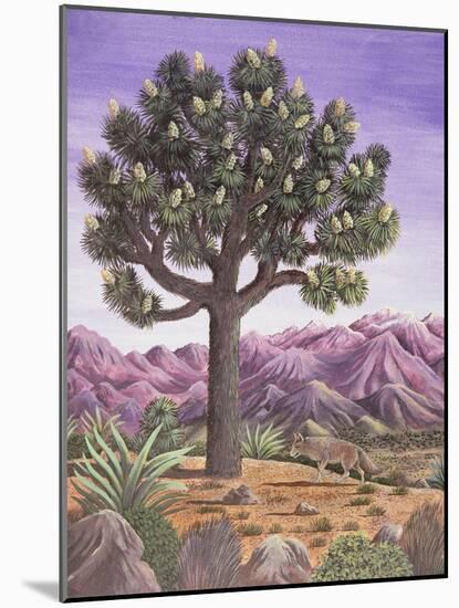 Joshua Tree and Coyote, 1983-Liz Wright-Mounted Giclee Print