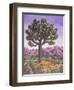 Joshua Tree and Coyote, 1983-Liz Wright-Framed Giclee Print