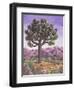 Joshua Tree and Coyote, 1983-Liz Wright-Framed Giclee Print