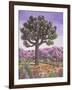 Joshua Tree and Coyote, 1983-Liz Wright-Framed Giclee Print