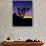 Joshua Tree and Moon, Joshua Tree National Park, California, USA-Jerry Ginsberg-Photographic Print displayed on a wall