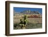 Joshua Tree and Red Rock Canyon National Conservation Area, Nevada, USA.-Michel Hersen-Framed Photographic Print