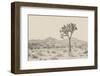 Joshua Tree I Neutral-Elizabeth Urquhart-Framed Photographic Print