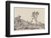 Joshua Tree II Neutral-Elizabeth Urquhart-Framed Photographic Print