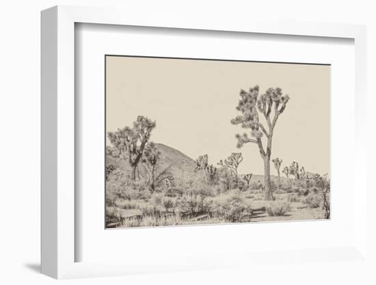 Joshua Tree II Neutral-Elizabeth Urquhart-Framed Photographic Print